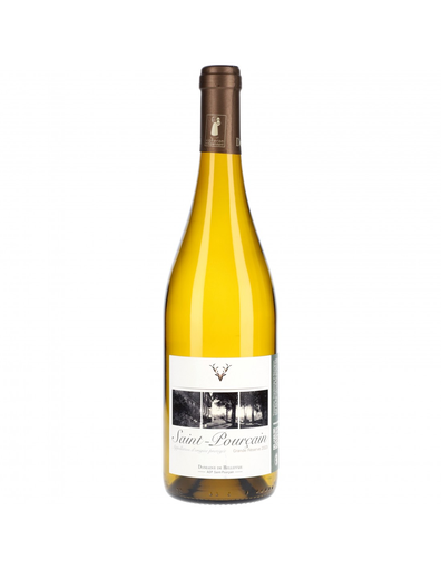 Domaine de Bellevue Saint-Pourçain 2024 - 75cl