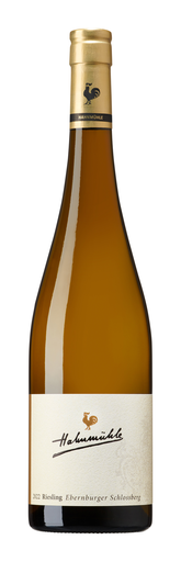 Hahnmühle Riesling Ebernburger Schlossberg 2021 - 75cl
