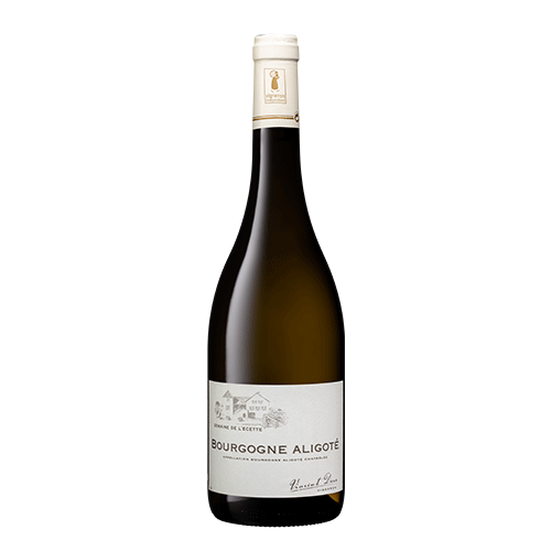 Domaine de L'Ecette Bourgogne Aligoté 2023 - 75cl